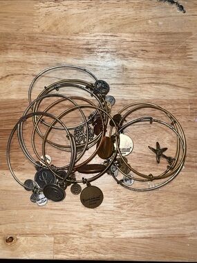 Alex and Ani Mixed Metal Charm Bangle Bracelet Set - Gold and Silver Tones